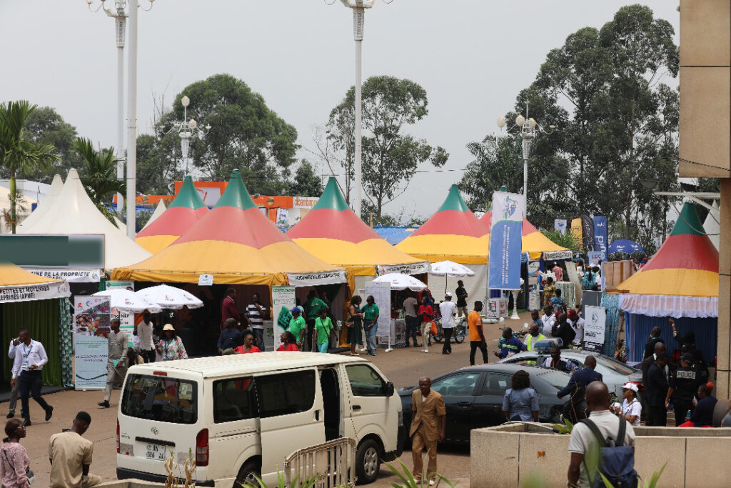 WhatsApp Image 2025-07-23 at 17.23.30.jpeg